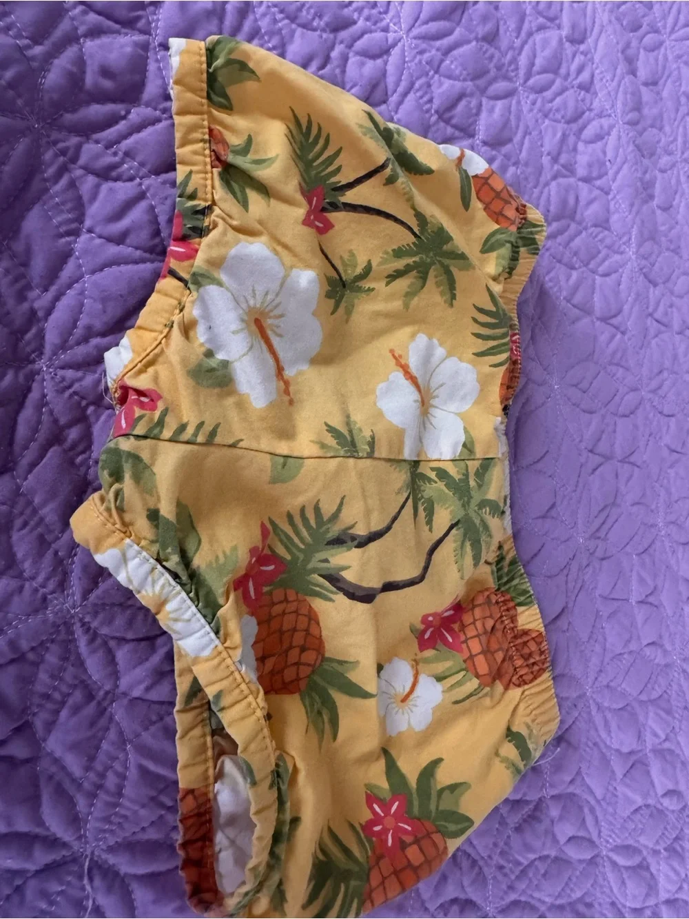 Gymboree Yellow Pineapple & Floral Shorts